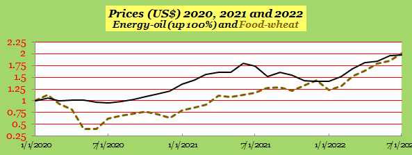  Prices US dollar 2020 2021 and 2022 Energy oil and Food wheat.png